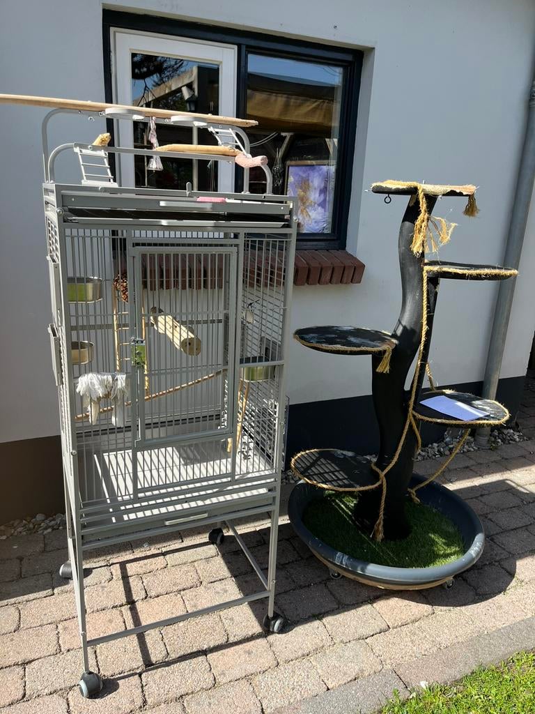 Papagaaien met eiland, Ophalen, Zo goed als nieuw, Metaal, Vogelkooi