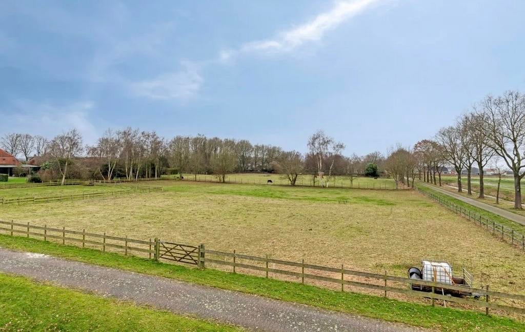 Paarden pension trijntje