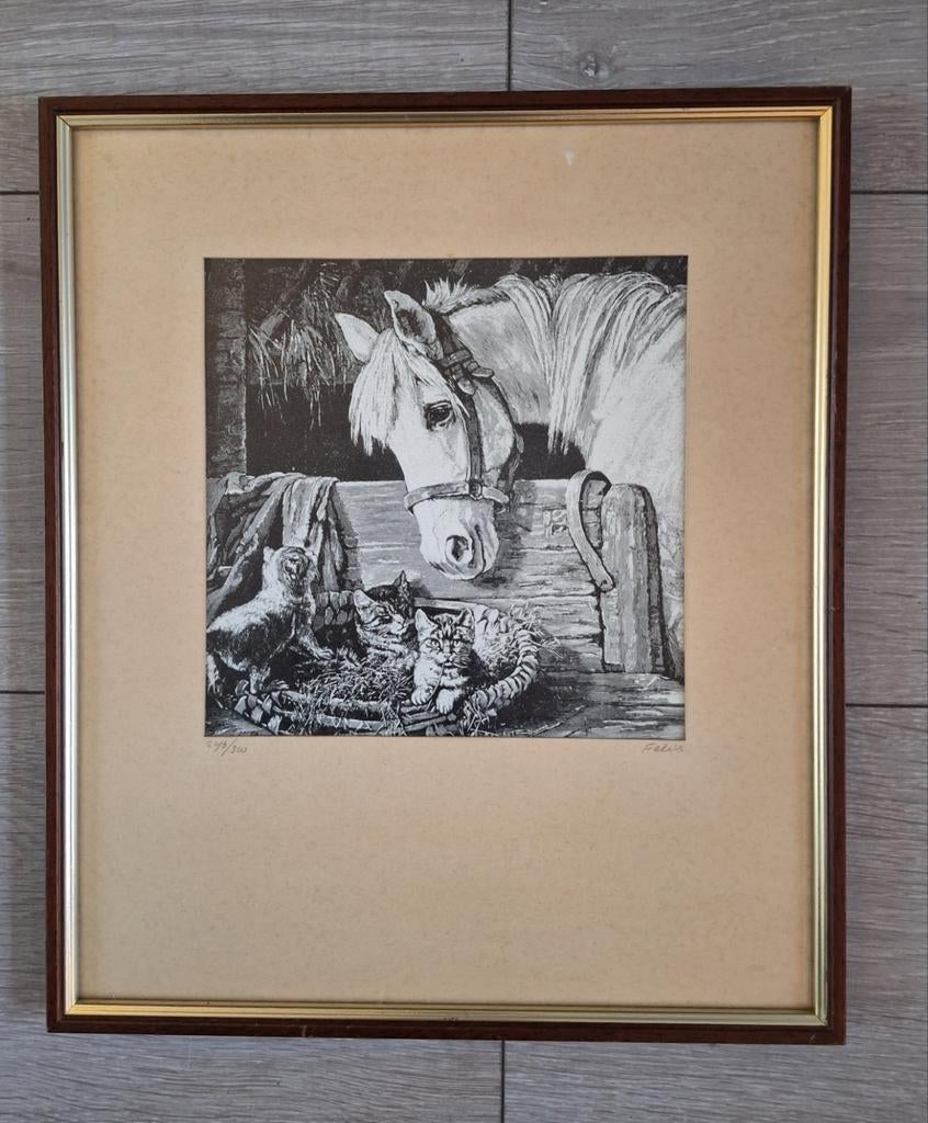 Prachtige genummerde antieke prent van paard met kittens, Ophalen of Verzenden