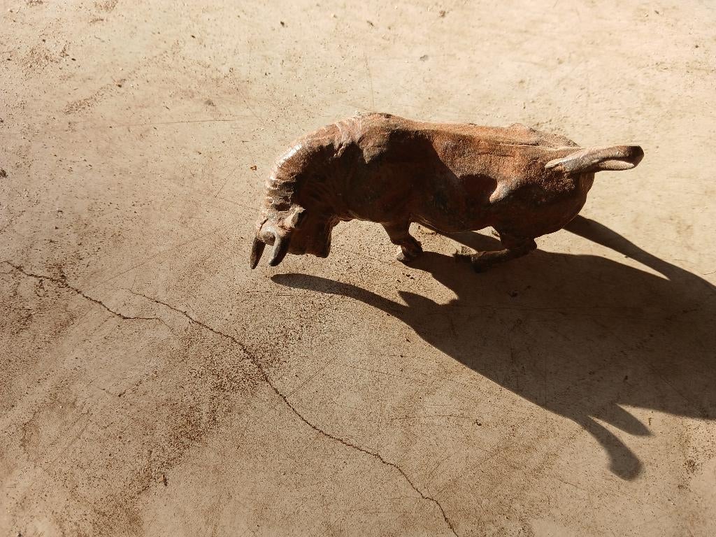 Stier P.Chenet, Ophalen of Verzenden