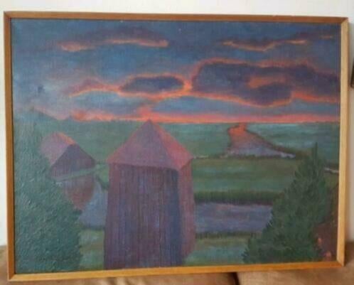 Acrylverf uitzicht westzijderveld zaandam Walter van Nus., Antiek en Kunst, Kunst | Schilderijen | Modern, Ophalen