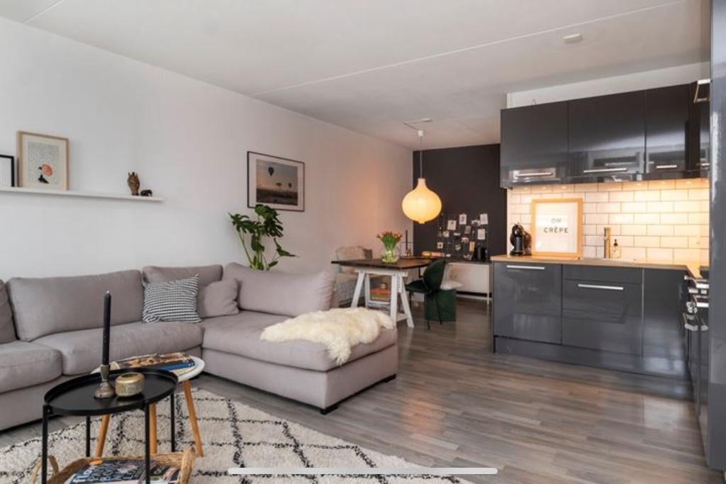 Appartement te huur - Apeldoorn - volledig ingericht, Huizen en Kamers, Huizen te huur, Gelderland, Appartement, Direct bij eigenaar