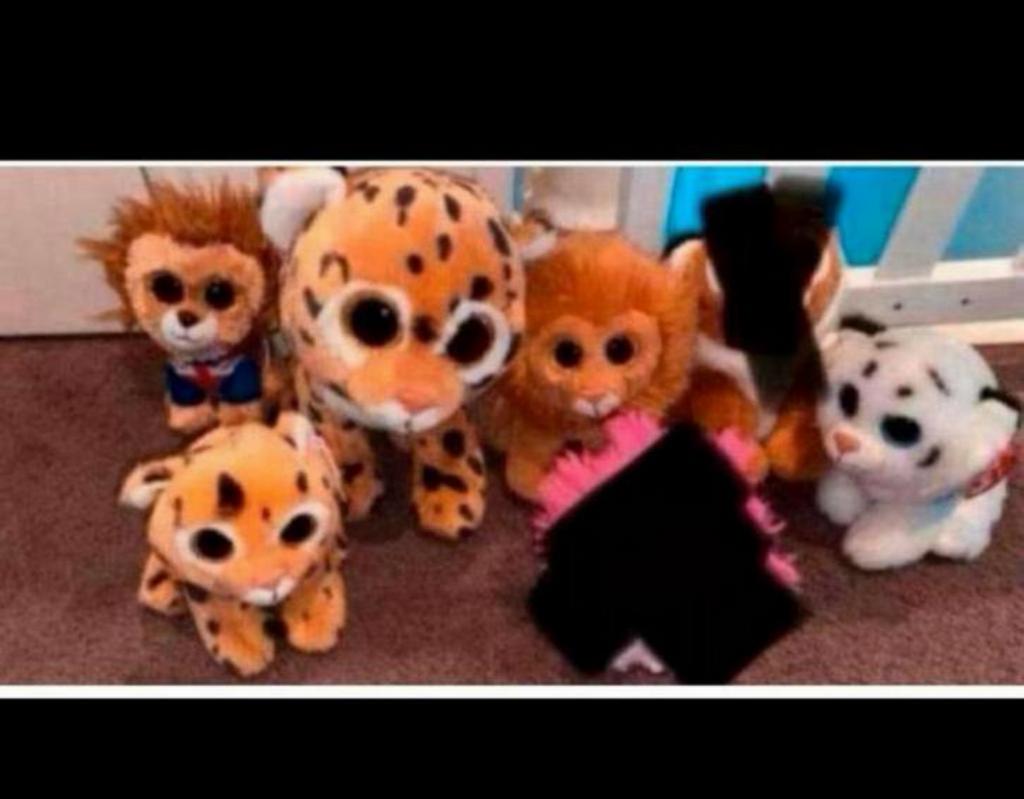 Ty beanie boo nieuw met kaartje, Ophalen of Verzenden