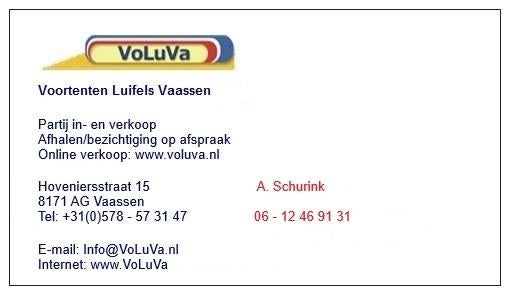 ACTIEPRIJS: DIVERSE WALKER VOORTENTEN, Caravans en Kamperen, Voortenten en Luifels, Ophalen, Nieuw, Walker Campingstyle