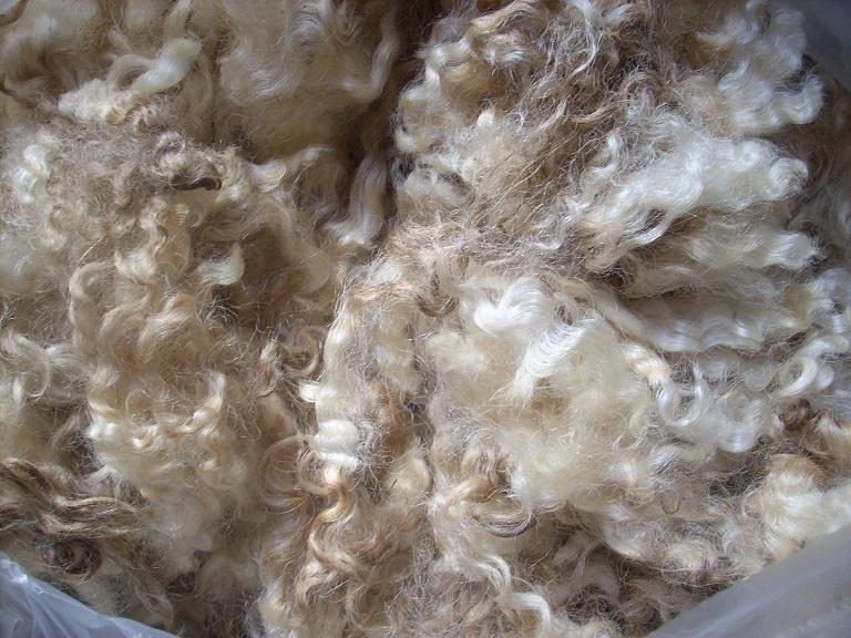 Schapenwol van aparte rassen voor spinnen en vilten spin wol, Ophalen of Verzenden, Nieuw, Spinwol