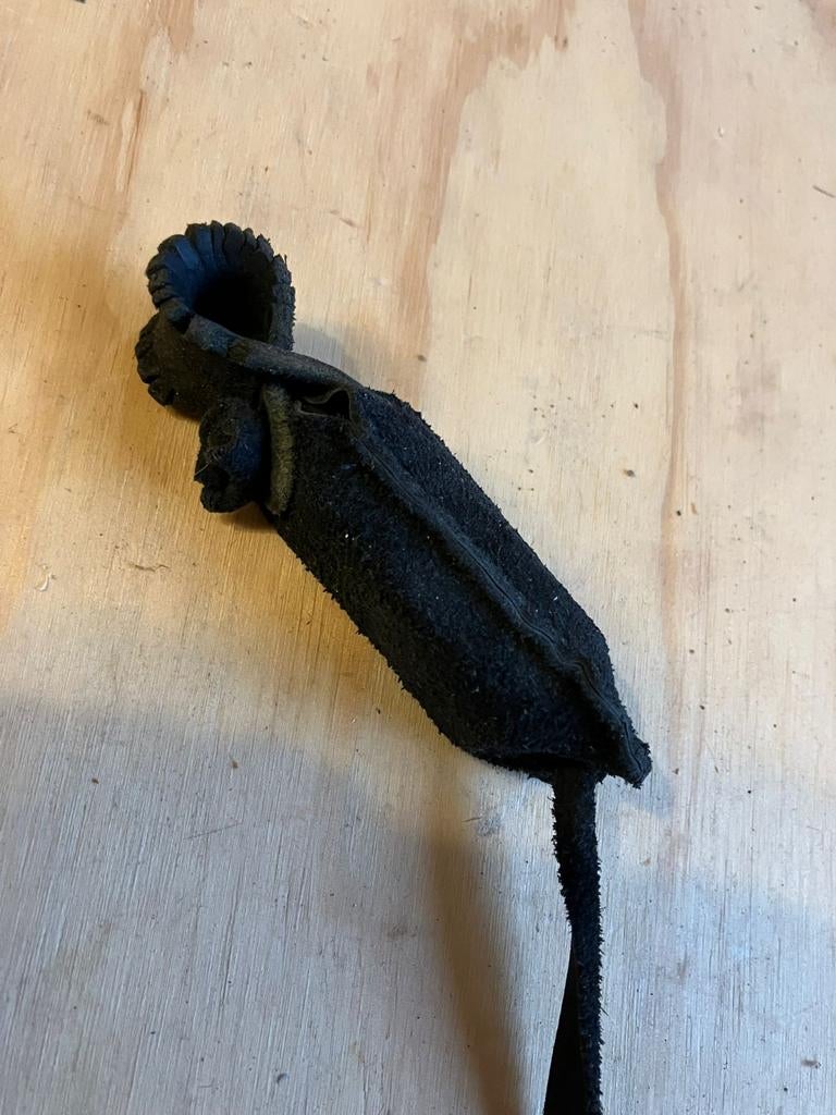 woestijnbuizerd, gps, papegaai,freeflight,roofvogels,, Papegaai