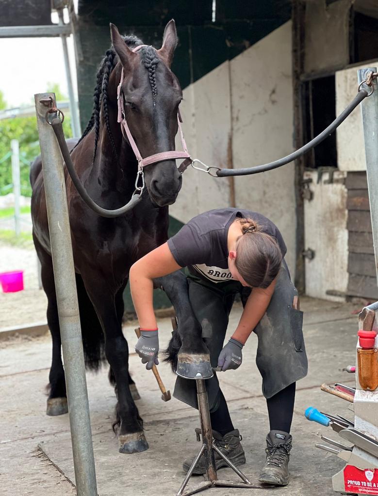 Hoefsmid gezocht, Dieren en Toebehoren, Paarden en Pony's | Verzorgingsproducten, Nieuw, Ophalen