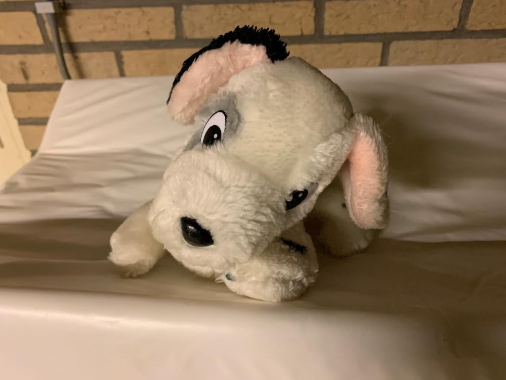 Dalmatier knuffel, hondenknuffel, Ophalen of Verzenden, Zo goed als nieuw, Hond