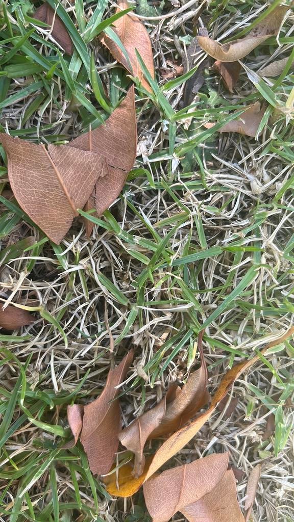 Kaartje staanplaats Jason Derulo 23 februari - Ziggodome, Eén persoon