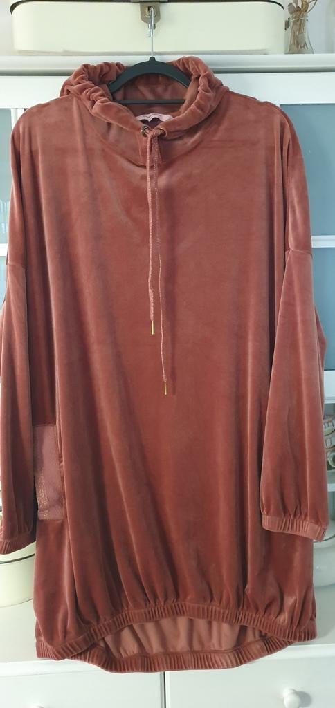 Mooie terracotta velours hoodie tuniek trui, Overige kleuren, Maat 46/48 (XL) of groter, Ophalen of Verzenden, Zo goed als nieuw