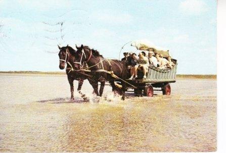 TERSCHELLING,- Met de Huifkar door Zee.  12-01, Ophalen of Verzenden, 1960 tot 1980, Gelopen, Waddeneilanden