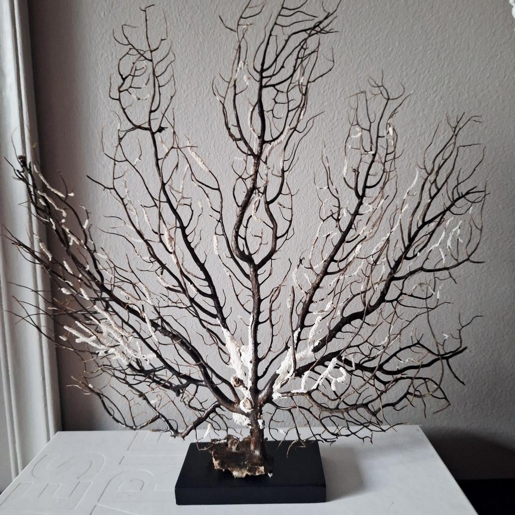 Prachtig decoratie stuk zee gras op voet, Nieuw, Ophalen of Verzenden, X, X