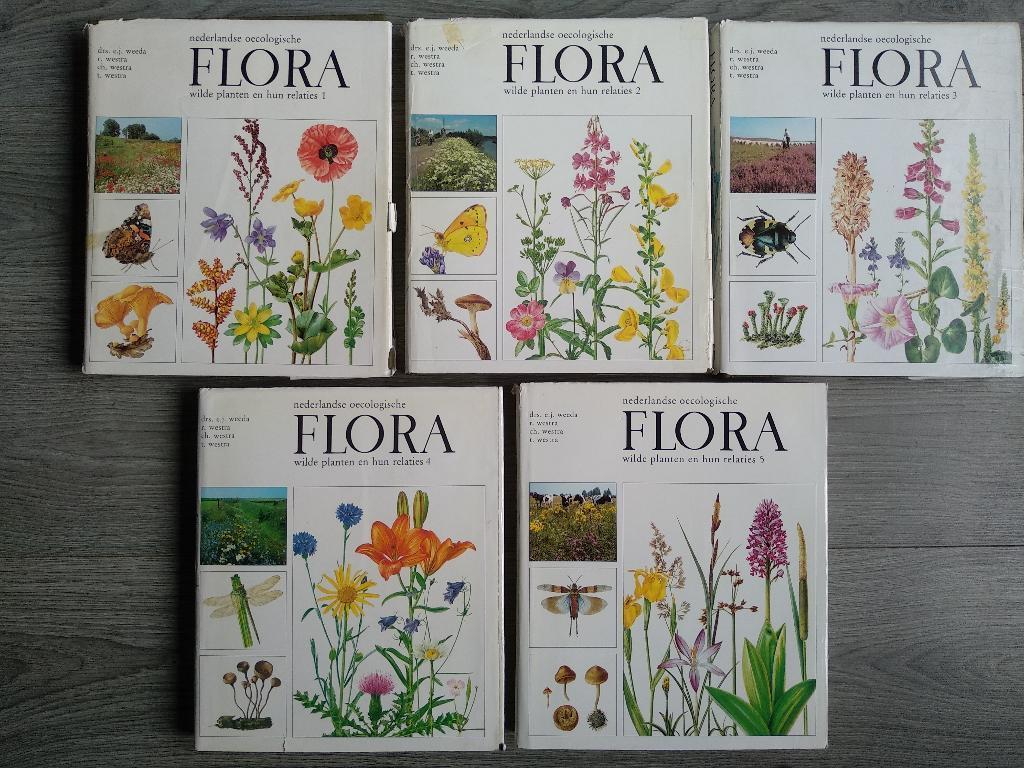 Oecologische Flora van Nederland (5 delen), Gelezen, Bloemen, Planten en Bomen, Drs. E.J. Weeda e.a., Ophalen of Verzenden