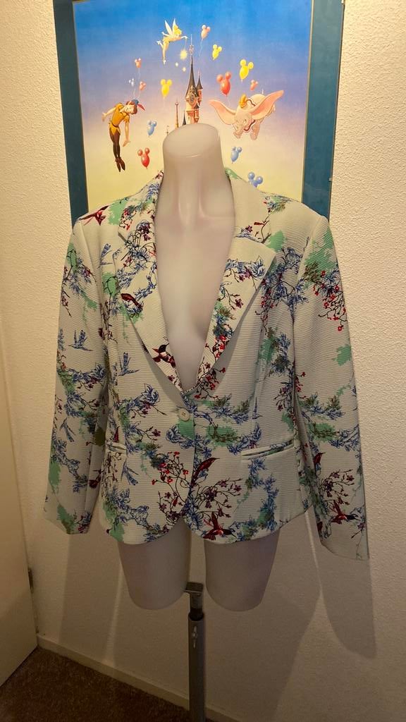 Nieuw super mooi colbert maat 44 merk Stroke Amsterdam, Ophalen of Verzenden, Nieuw, Maat 42/44 (L), Jasje