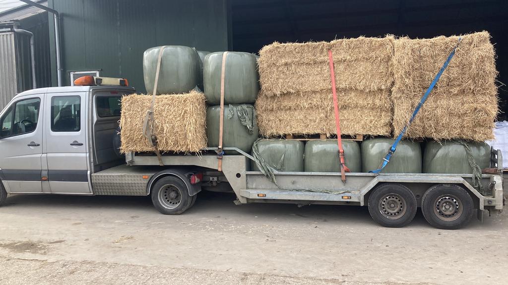 Voordroog, hooi , ronde en vierkante balen ,, Dieren en Toebehoren, Dierenvoeding, Ophalen, Vee