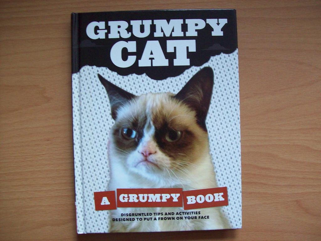 Grumpy Cat: A Grumpy Book: Disgruntled tips and activities, Ophalen of Verzenden, Zo goed als nieuw, Anekdotes en Observaties
