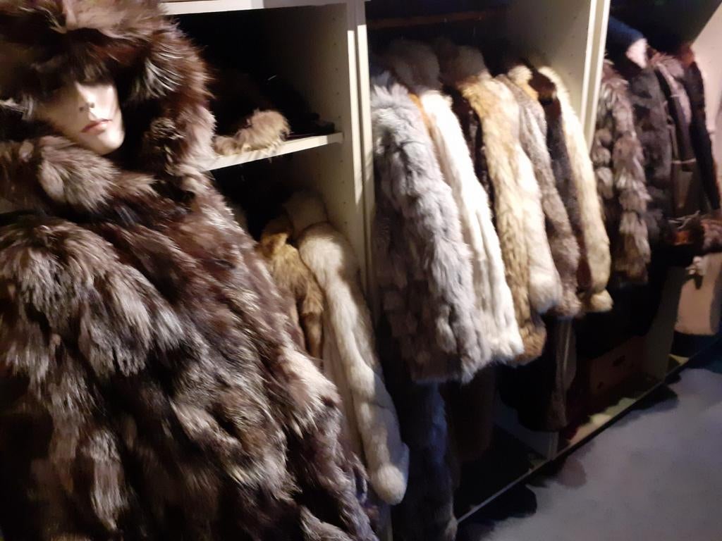 Prachtige vintage korte en lange bontjas bont jas te koop, Kleding | Dames, Jassen | Winter, Ophalen of Verzenden, Zo goed als nieuw