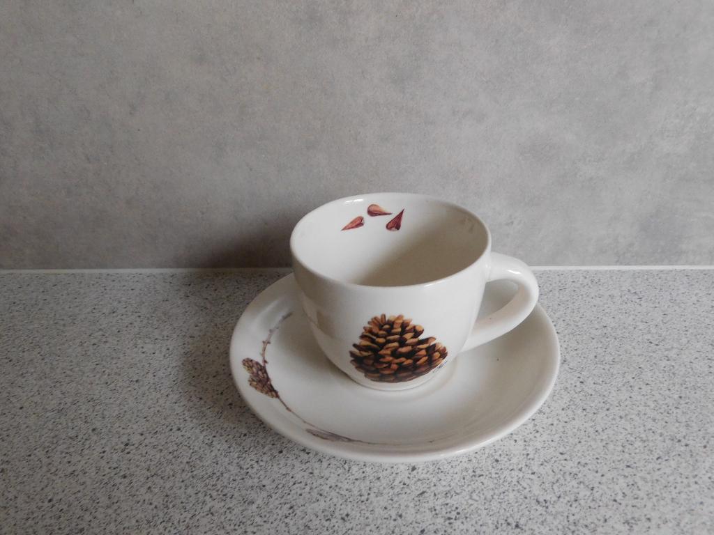 Kop en schotel Dennenappel JET by ter Steege, Ophalen of Verzenden, Zo goed als nieuw, Overige stijlen, Kop(pen) en/of Schotel(s)