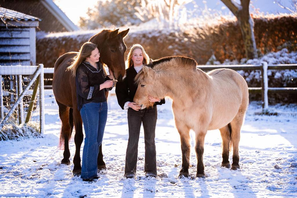 Stalhulp, Dieren en Toebehoren, Stalling en Weidegang, Toebehoren