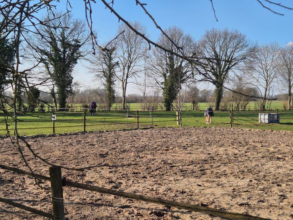 Pension of pensioenplek, Dieren en Toebehoren, Stalling en Weidegang, Weidegang