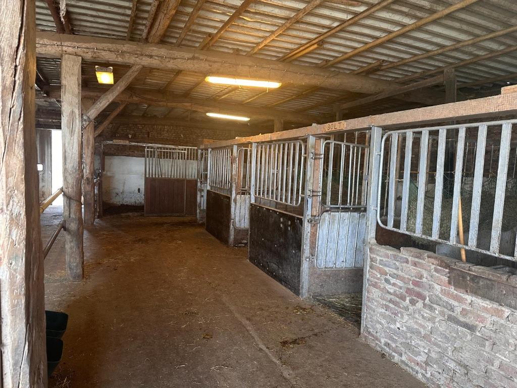 paarden stalling met weidegang en  bak met verluchting, Weidegang, 1 paard of pony