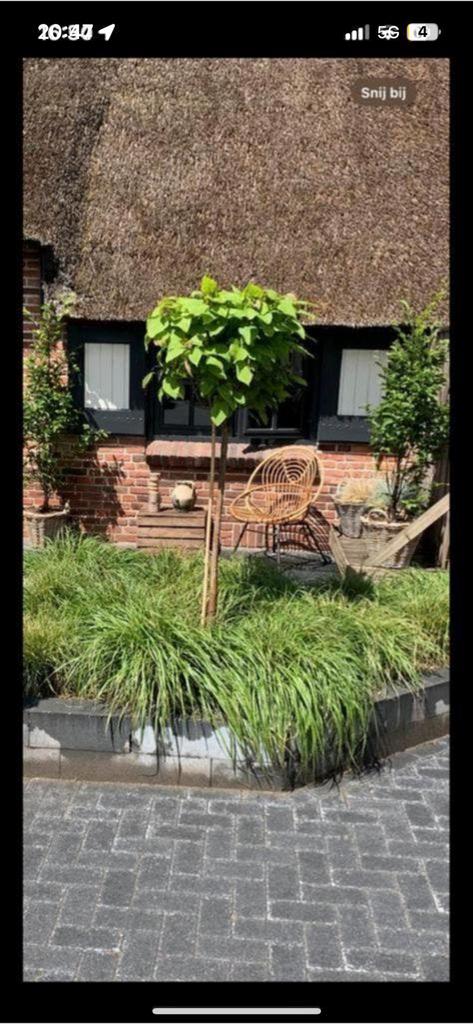 Raamluiken, Ophalen of Verzenden, Gebruikt, Minder dan 80 cm