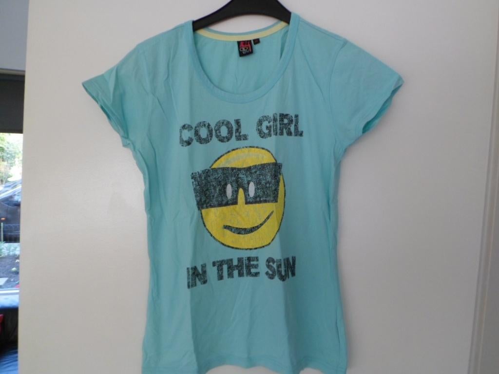 2 x shirt maat M, merk April Evil, 1 euro per stuk, Kleding | Dames, Maat 38/40 (M), Overige kleuren, Ophalen of Verzenden, Zo goed als nieuw