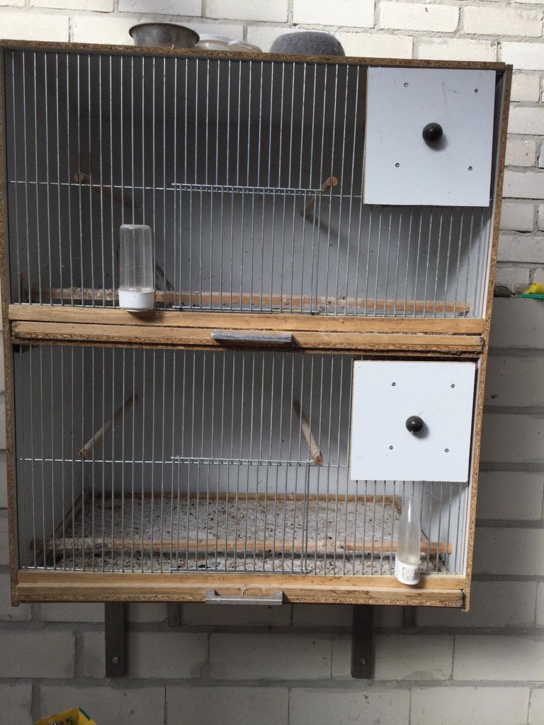 Broedkooi, Ophalen, Zo goed als nieuw, Hout, Broedkooi of Kweekkooi