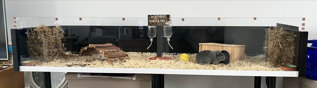 Knaagdieren kooi extra groot, Ophalen, Konijn, 60 tot 90 cm, Hok