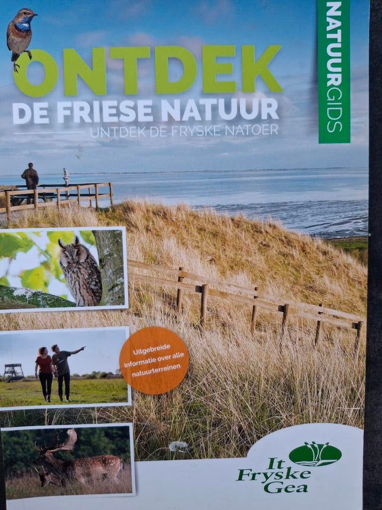 Ontdek de Friese Natuur It Fryske Gea Wadden Stinzeplanten, Ophalen of Verzenden, Zo goed als nieuw, Wandel- of Recreatiegebieden