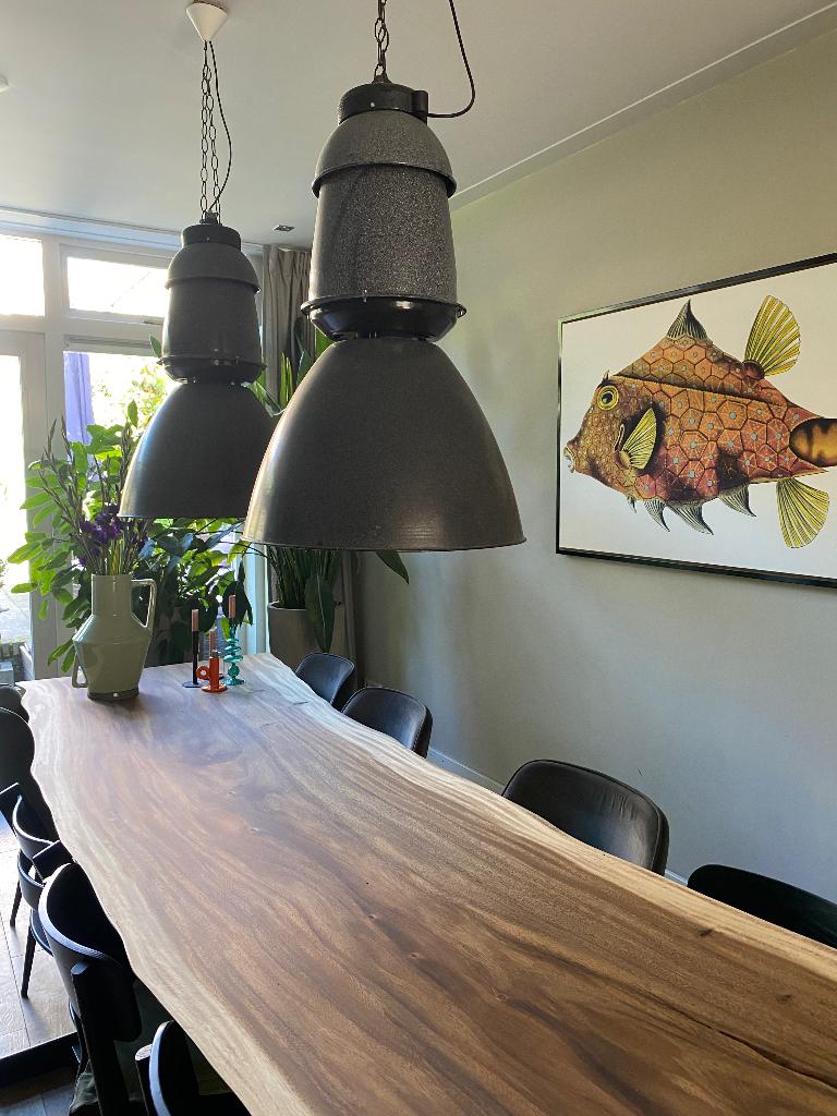 Industriële lampen hanglampen, Ophalen, Gebruikt, 50 tot 75 cm, Metaal