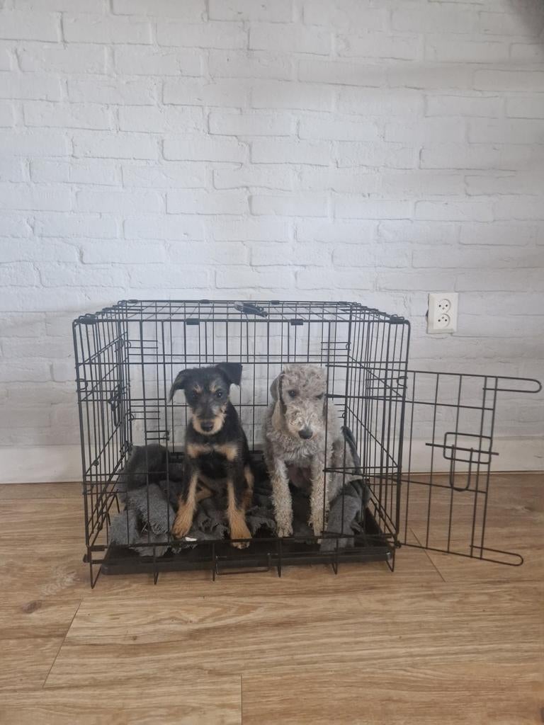 Honden bench met hoes als nieuw, Dieren en Toebehoren, Ophalen, Zo goed als nieuw