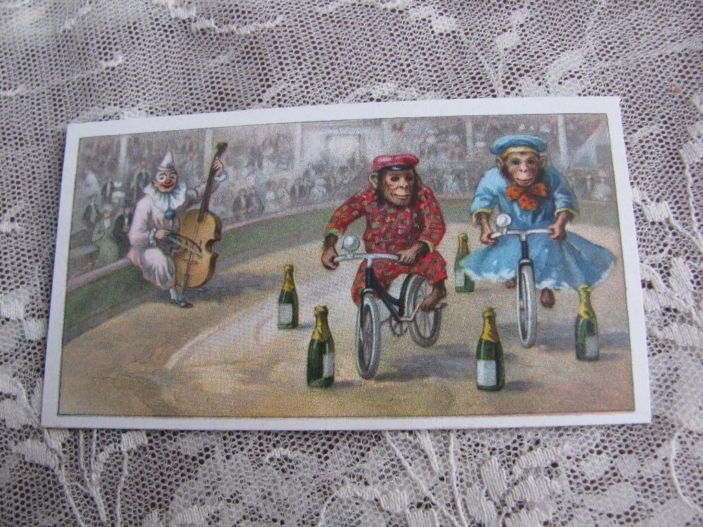 Oud Reclame Kaartje / Schoenpoets - Aap op de Fiets / Circus, Verzamelen, Merken en Reclamevoorwerpen, Verzenden, Gebruikt, Overige typen