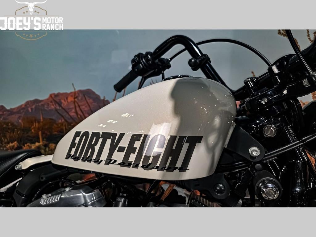 HARLEY-DAVIDSON SPORTSTER FORTY-EIGHT XL 1200 X (bj 2010), 2 cilinders, HARLEY-DAVIDSON, Bedrijf, Meer dan 35 kW