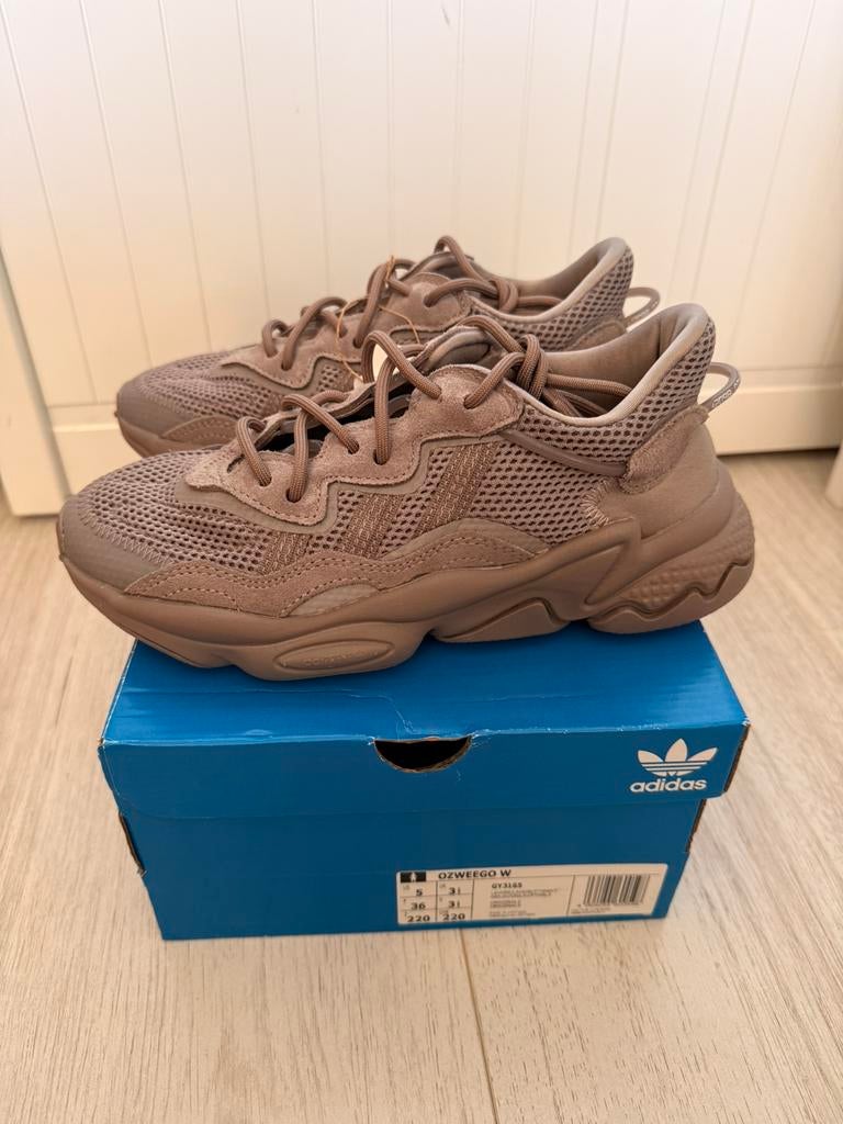 Gloednieuw Adidas ozweego w maat 36, Overige kleuren, Nieuw, Ophalen of Verzenden, Sneakers of Gympen