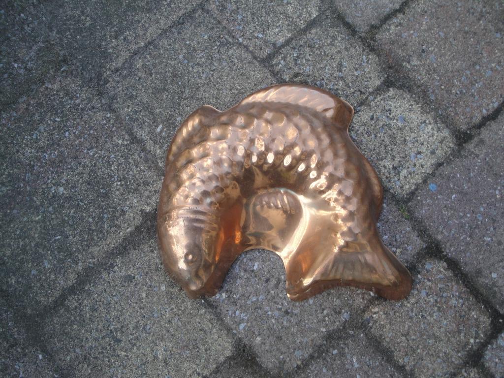 messing vis, Ophalen of Verzenden, Koper