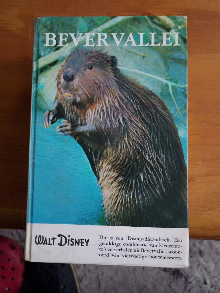 Walt Disney Dierenboekjes - Diverse Titels, Ophalen, Gelezen, Natuur algemeen, Walt Disney