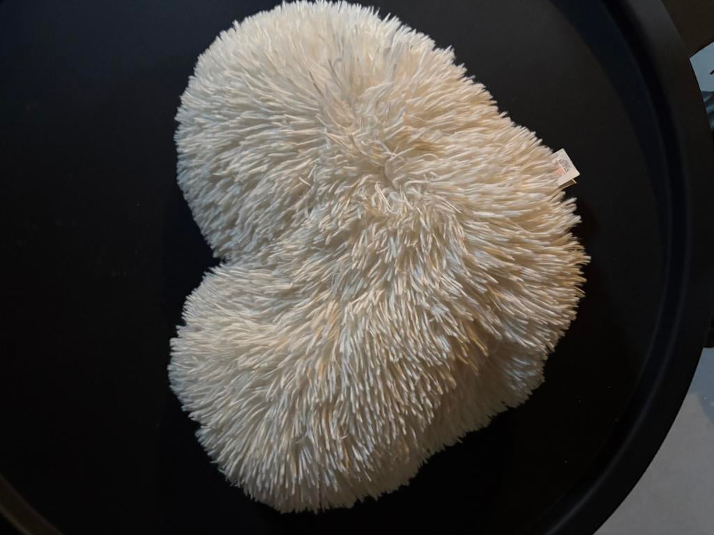 Hartjes kussen, Ophalen, Zo goed als nieuw, Vierkant