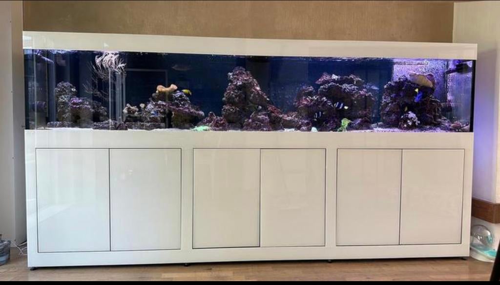 Zoutwater oceaan aquarium, Ophalen, Gevuld zeewateraquarium
