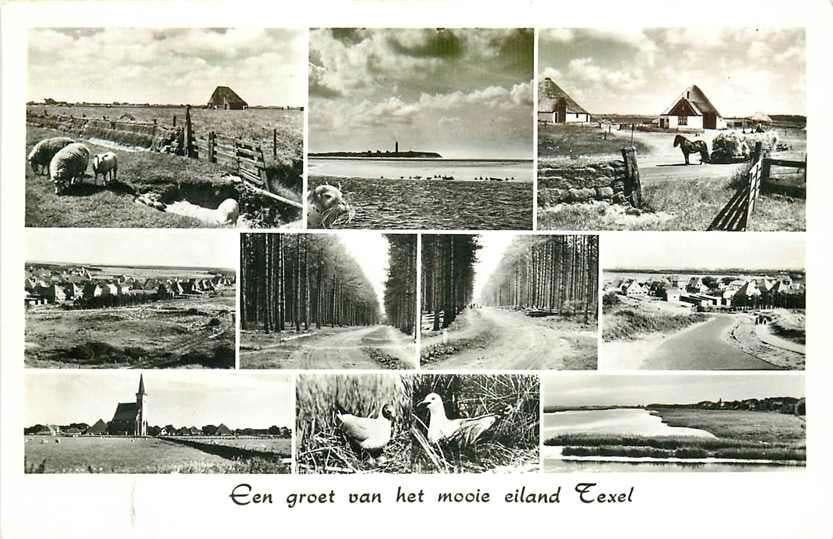 377-064-003 Texel, Verzamelen, Ansichtkaarten | Nederland, Waddeneilanden, Voor 1920, Ophalen of Verzenden