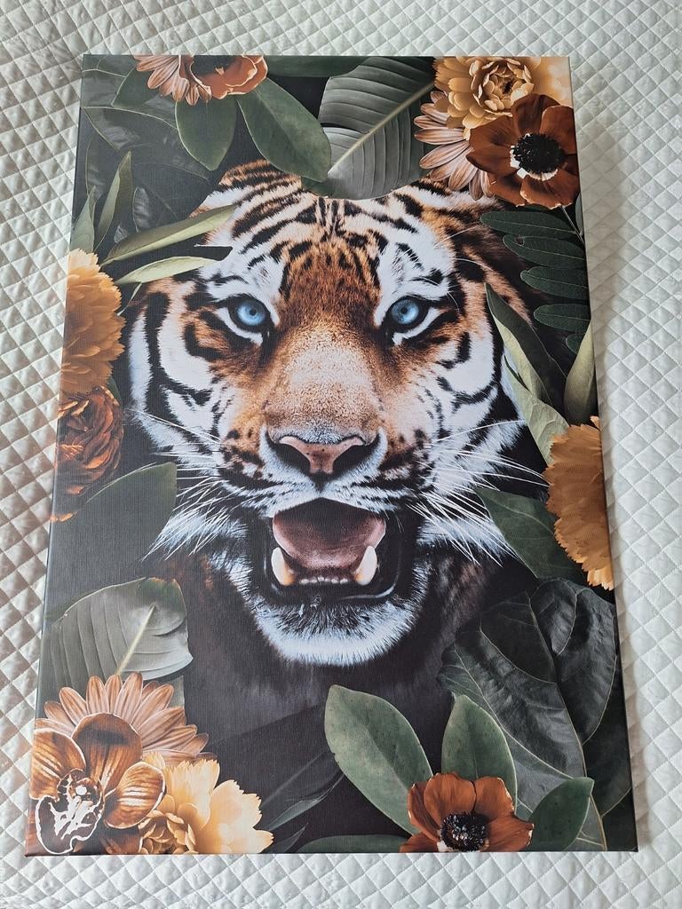 Tijger, Ophalen of Verzenden