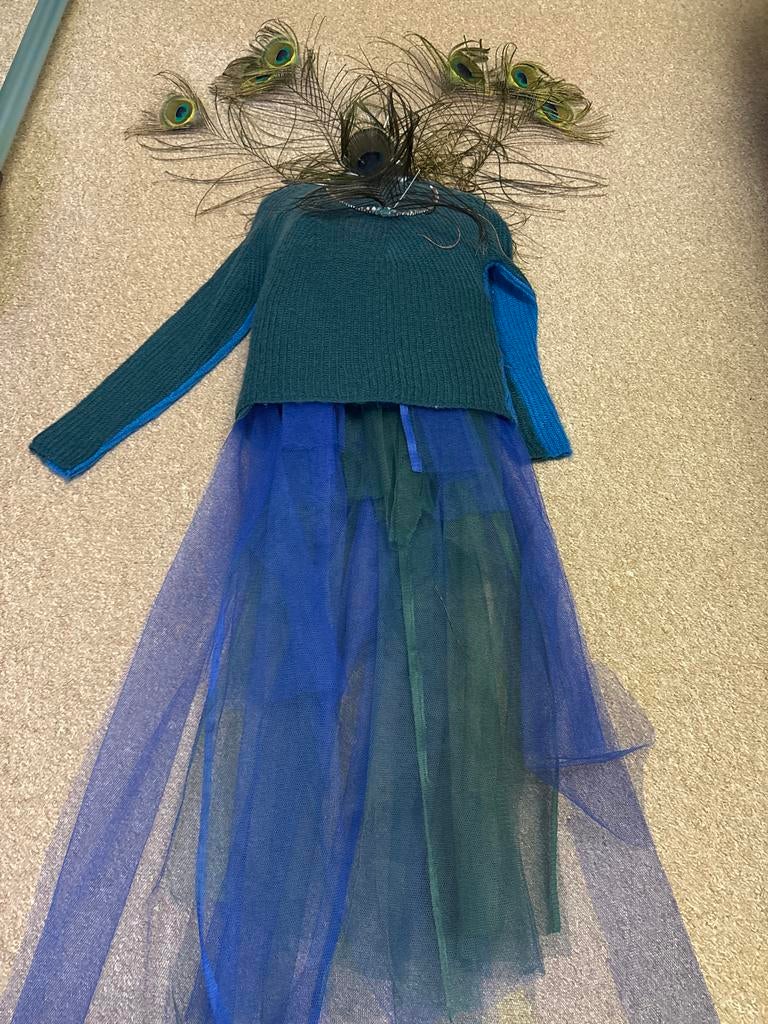 Pauw carnaval kleding, Ophalen, Gebruikt, 134 t/m 140, Meisje