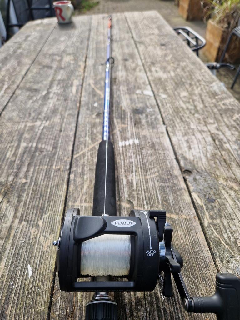 Sterke ZEE hengel met reel, Ophalen of Verzenden, Zo goed als nieuw, Werphengel