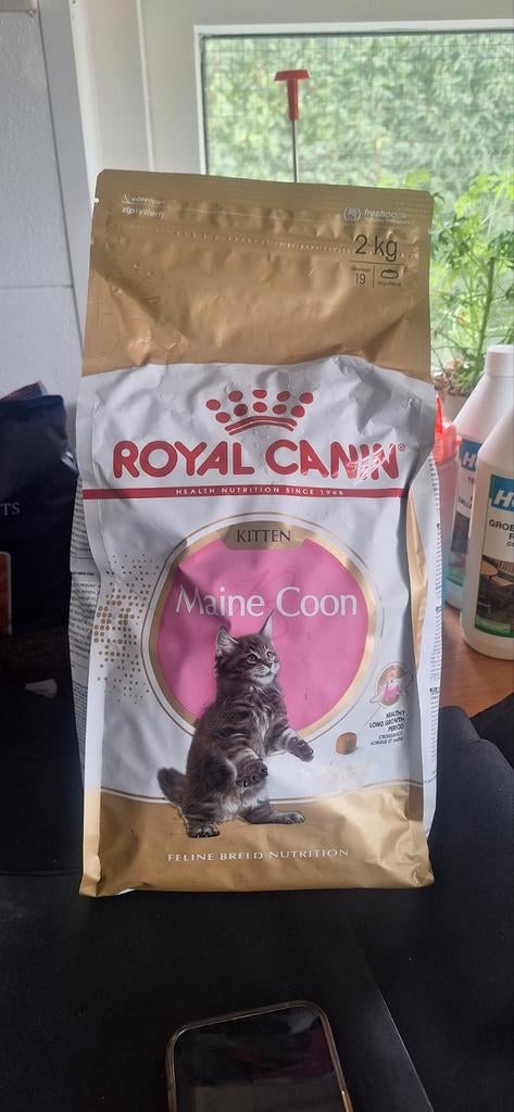 Nieuwe zak Kitten Royal Canin, Ophalen of Verzenden, Kat