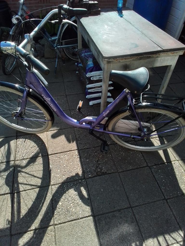 Reflection moederfiets, Fietsen en Brommers, Fietsen | Dames | Omafietsen, Minder dan 47 cm, Ophalen, Gebruikt, Versnellingen