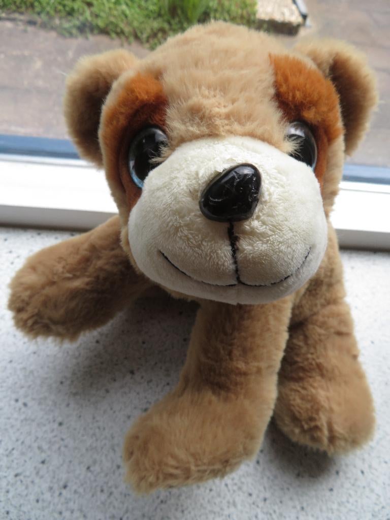 Licht bruine velours beer met blauwe ogen merk Sunkid, Beer, Ophalen of Verzenden, Zo goed als nieuw, Wasbaar