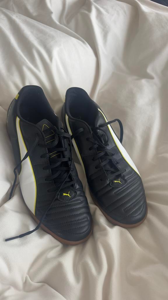 Puma zaal / voetbal/handbal schoenen maat 45 nieuw !, Ophalen of Verzenden, Nieuw, Schoenen