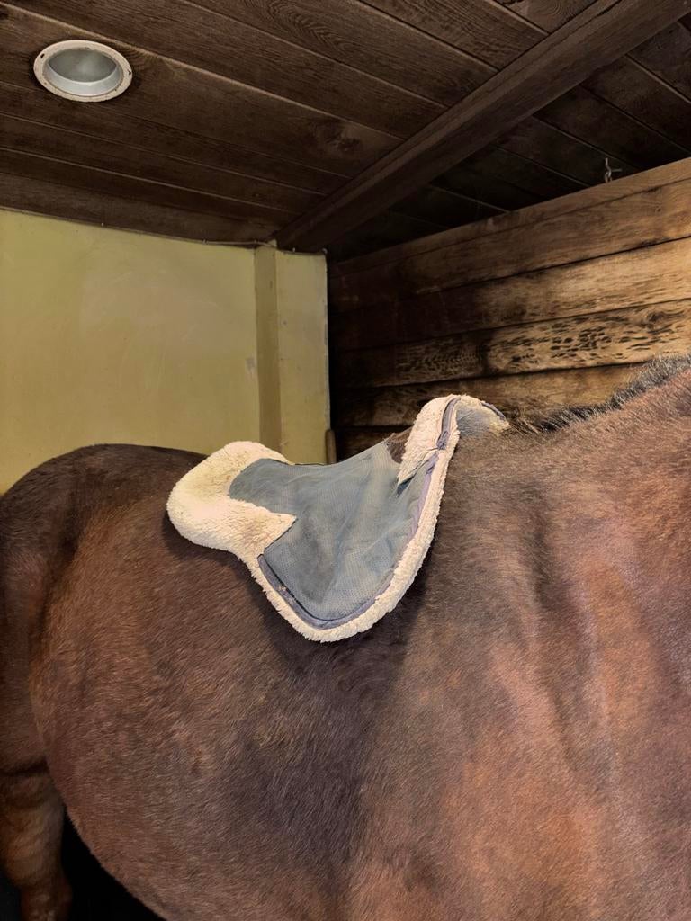 Kentucky onderlegger, Dieren en Toebehoren, Ophalen of Verzenden, Gebruikt