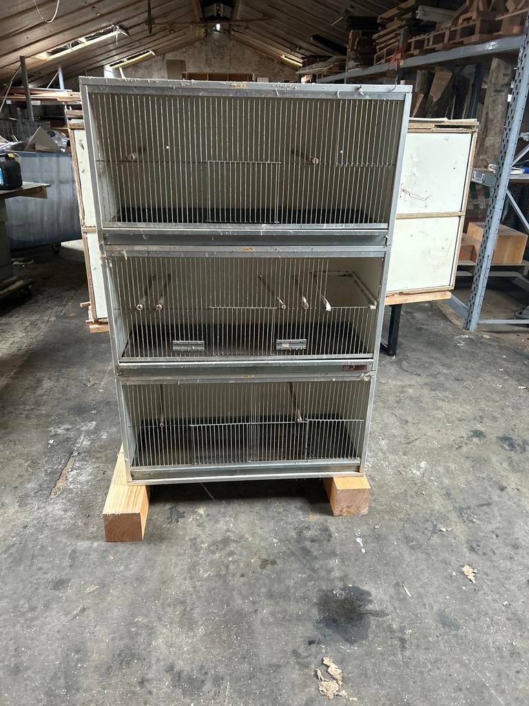 Uitvliegkooien van van keulen, Ophalen, Hout, Vogelkooi