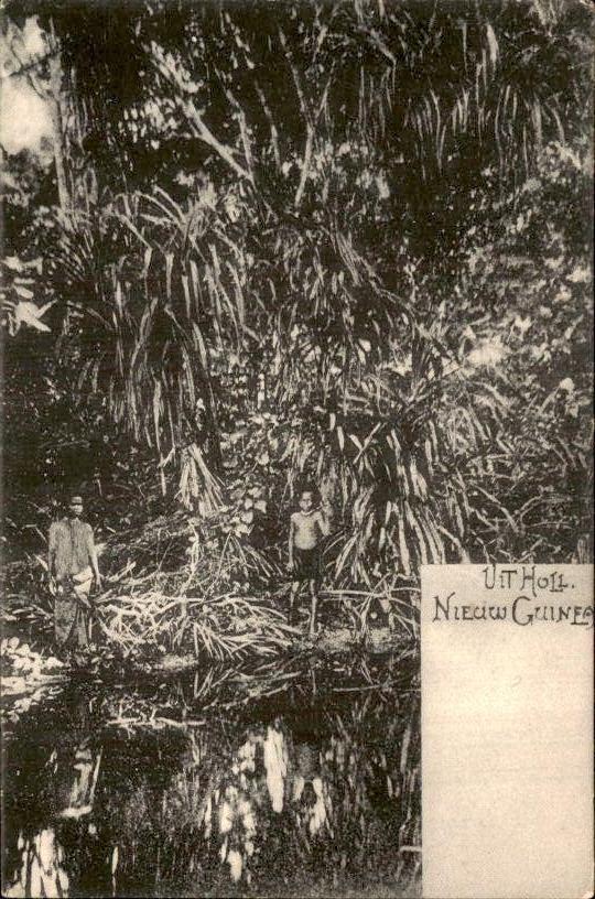 Nederlands Indië - Nieuw Guinea - 1905, Verzenden, Voor 1920, Ongelopen, Noord-Holland